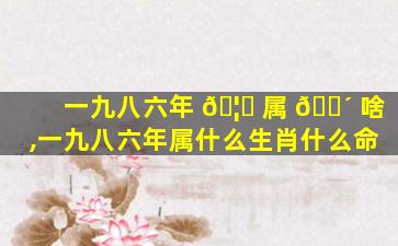 一九八六年 🦋 属 🐴 啥,一九八六年属什么生肖什么命